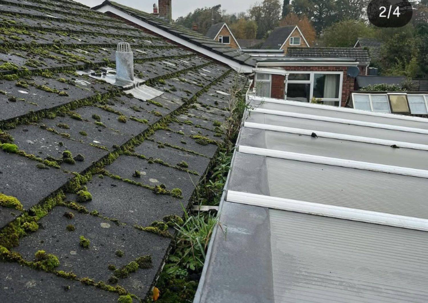 Heavy moss in gutter before professional gutter clearing